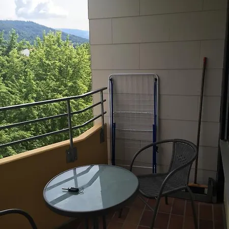 Ferienwohnung * Heidelberg